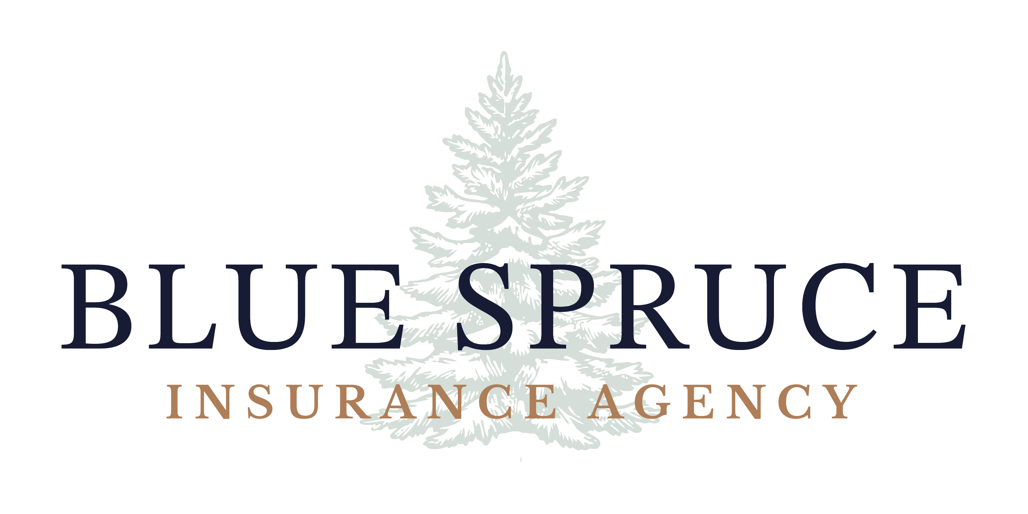 Blue Spruce Insurance